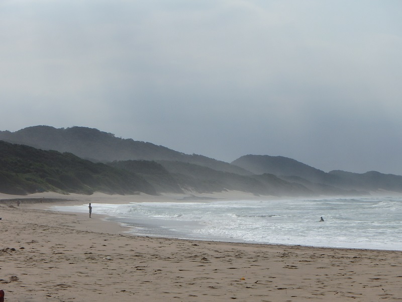 P4260356.JPG