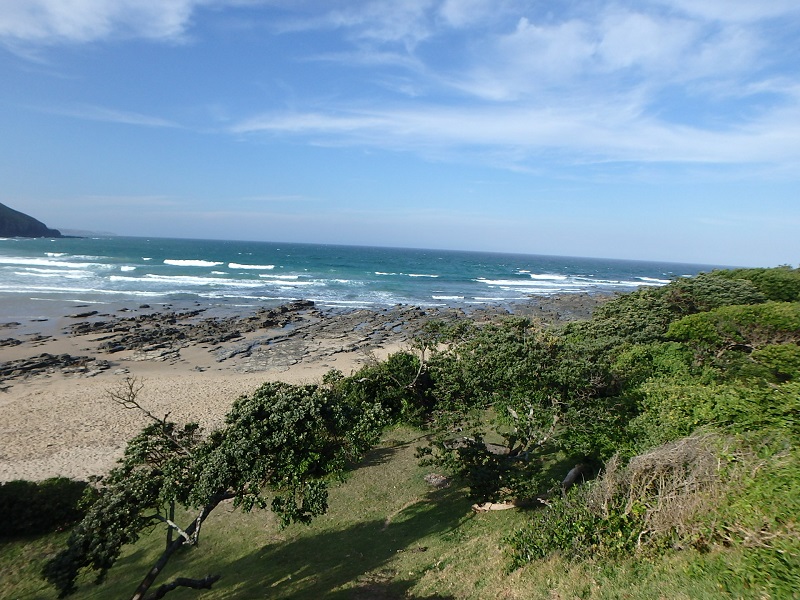 P5010442.JPG P5010442.JPG