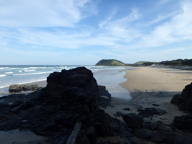 P5010447.JPG P5010447.JPG