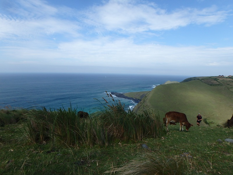 P5030466.JPG P5030466.JPG