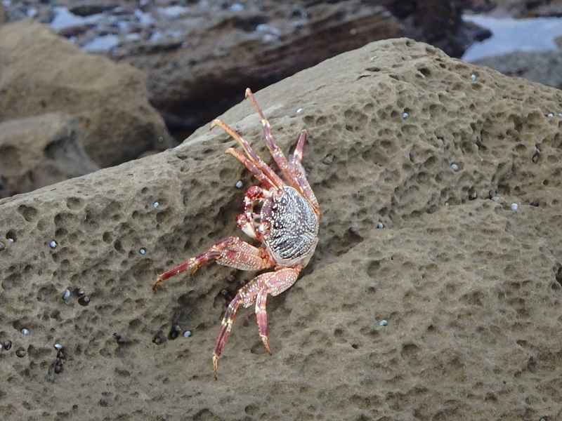 P5030484.JPG P5030484.JPG