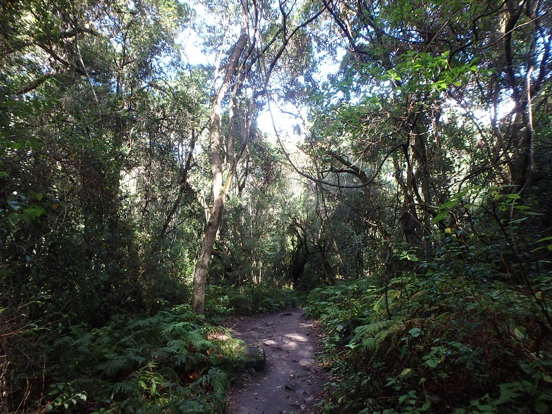 P5120710.JPG