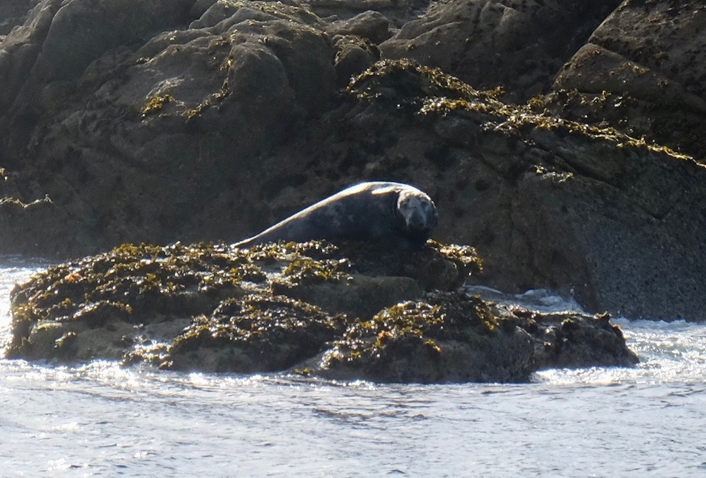 DSCF8118.jpg DSCF8118.jpg