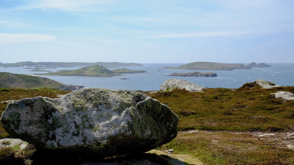 DSCF8092.jpg DSCF8092.jpg