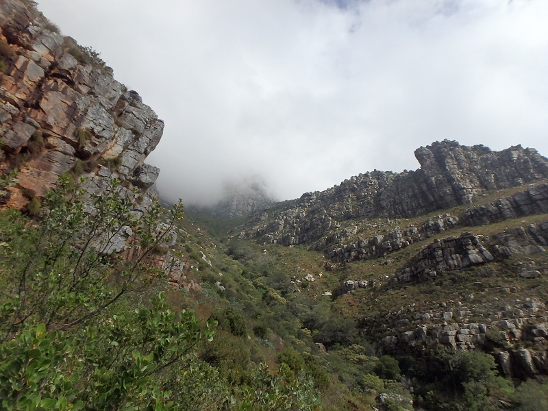 P5170993.JPG P5170993.JPG