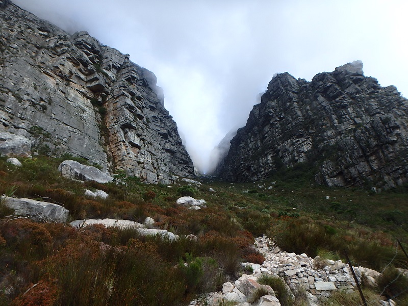 P5170996.JPG P5170996.JPG