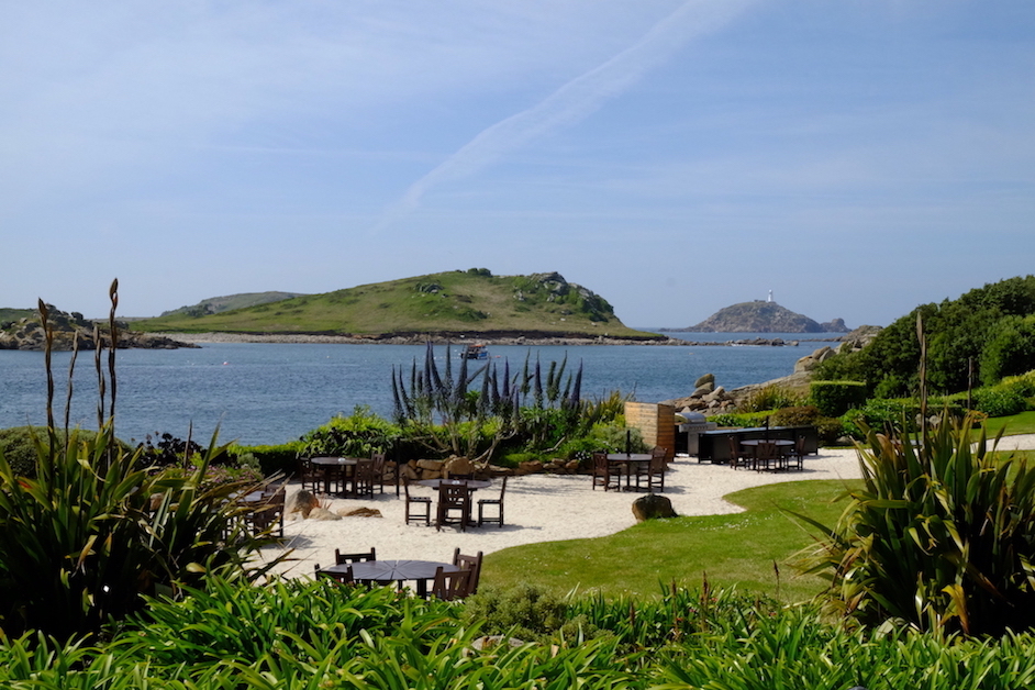 DSCF8102.JPG DSCF8102.JPG