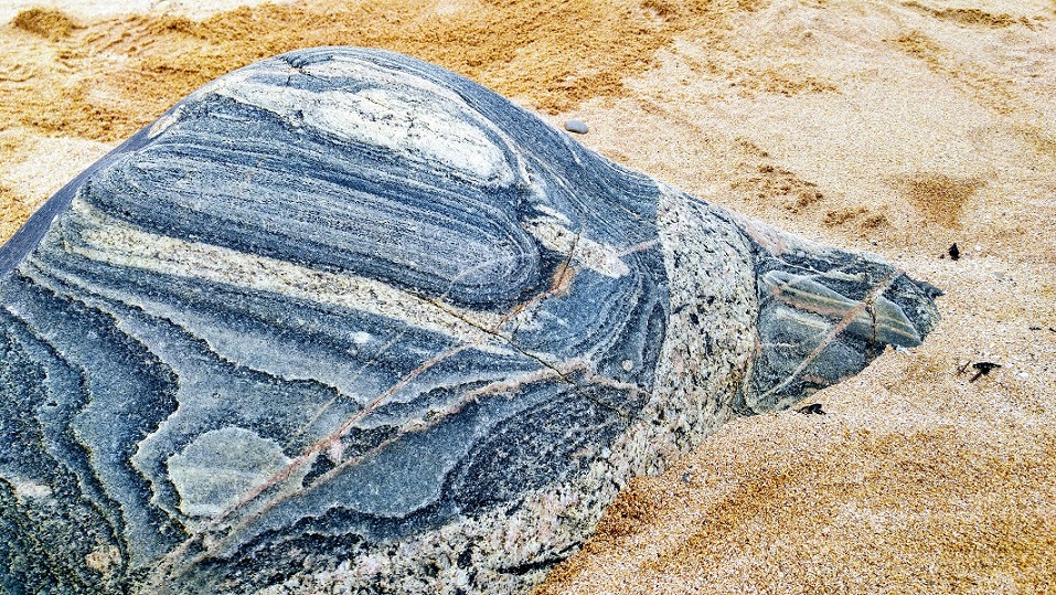 20180410_163216_HDR~2.jpg