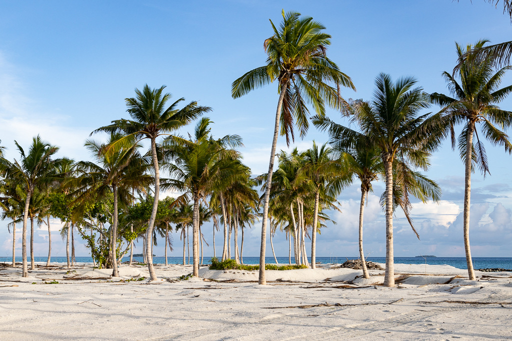 Maldives2018-1024-016.jpg Maldives2018-1024-016.jpg