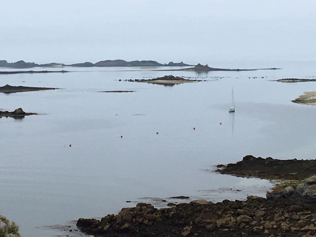 IMG-20170530-WA0005.jpg IMG-20170530-WA0005.jpg