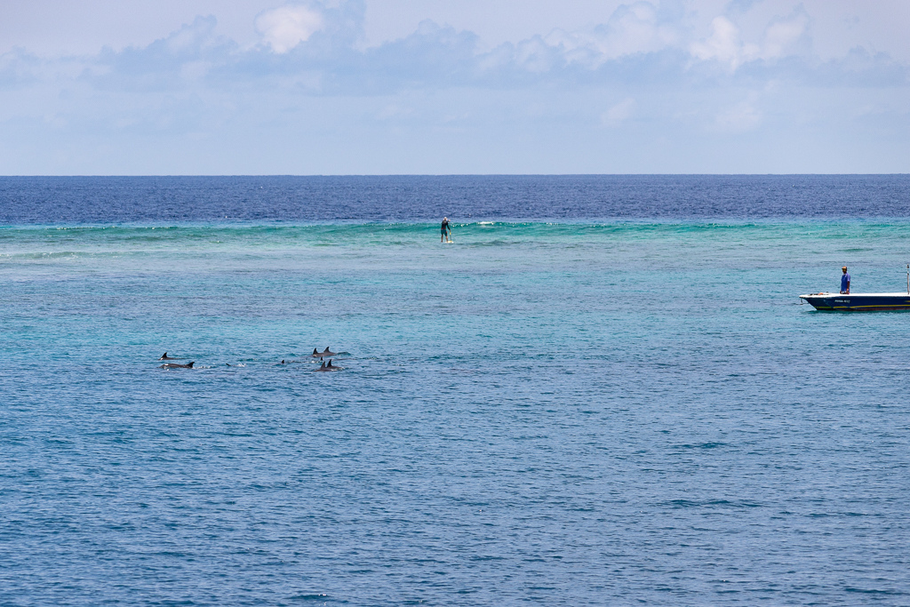 Maldives2018-1024-022.jpg Maldives2018-1024-022.jpg