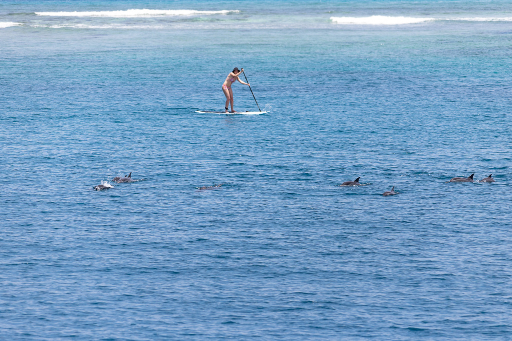 Maldives2018-1024-024.jpg