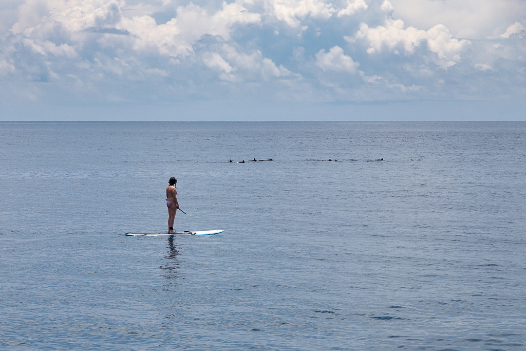 Maldives2018-1024-025.jpg