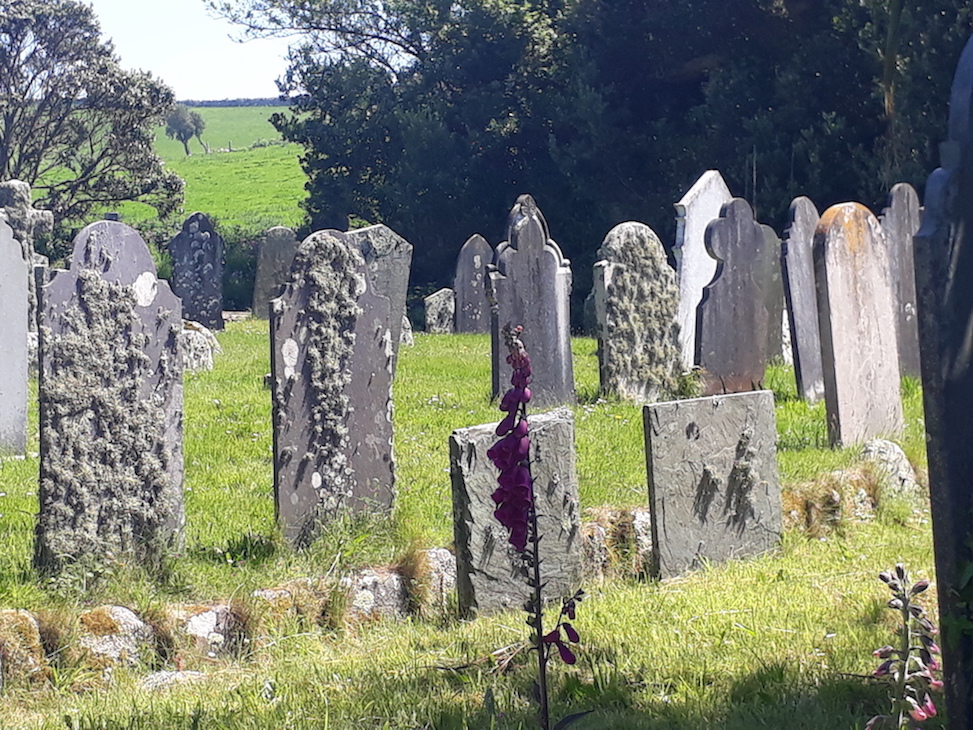 20170525_141808.jpg 20170525_141808.jpg