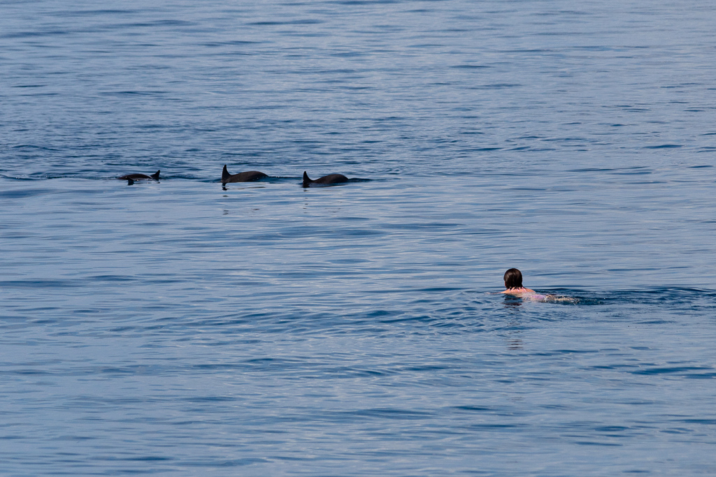 Maldives2018-1024-031.jpg Maldives2018-1024-031.jpg