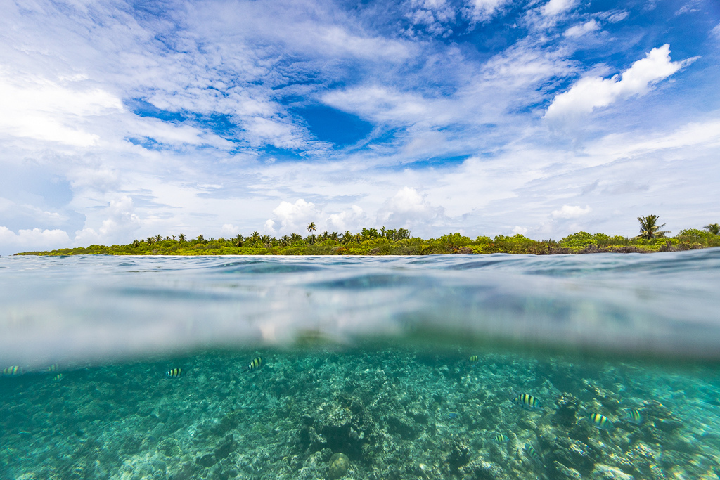 Maldives2018-1024-060.jpg