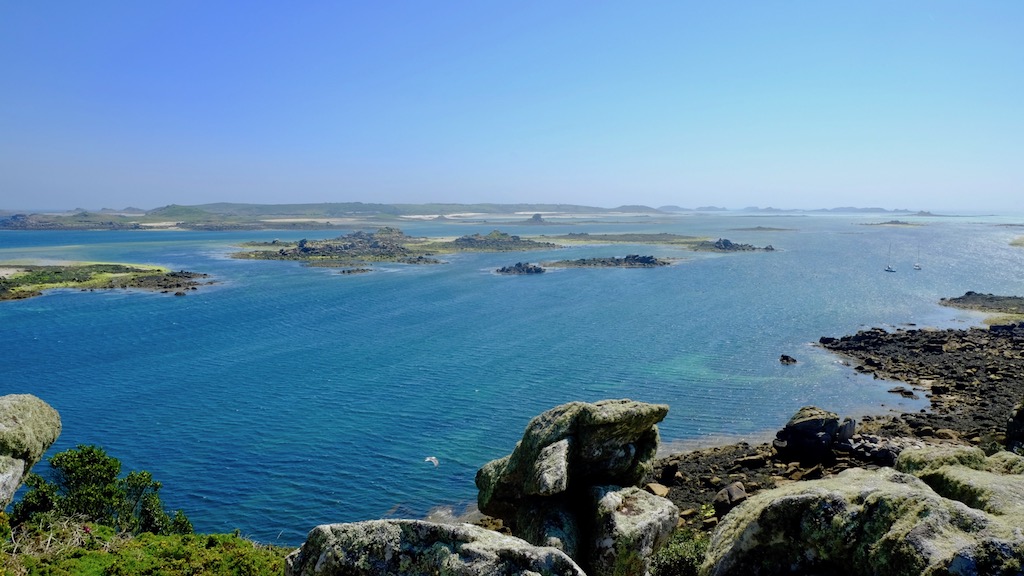 DSCF8187.jpg DSCF8187.jpg