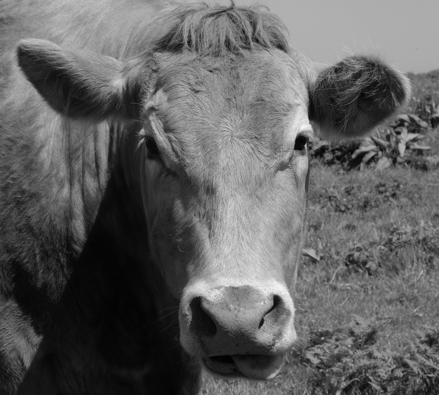 DSCF8193.jpg DSCF8193.jpg