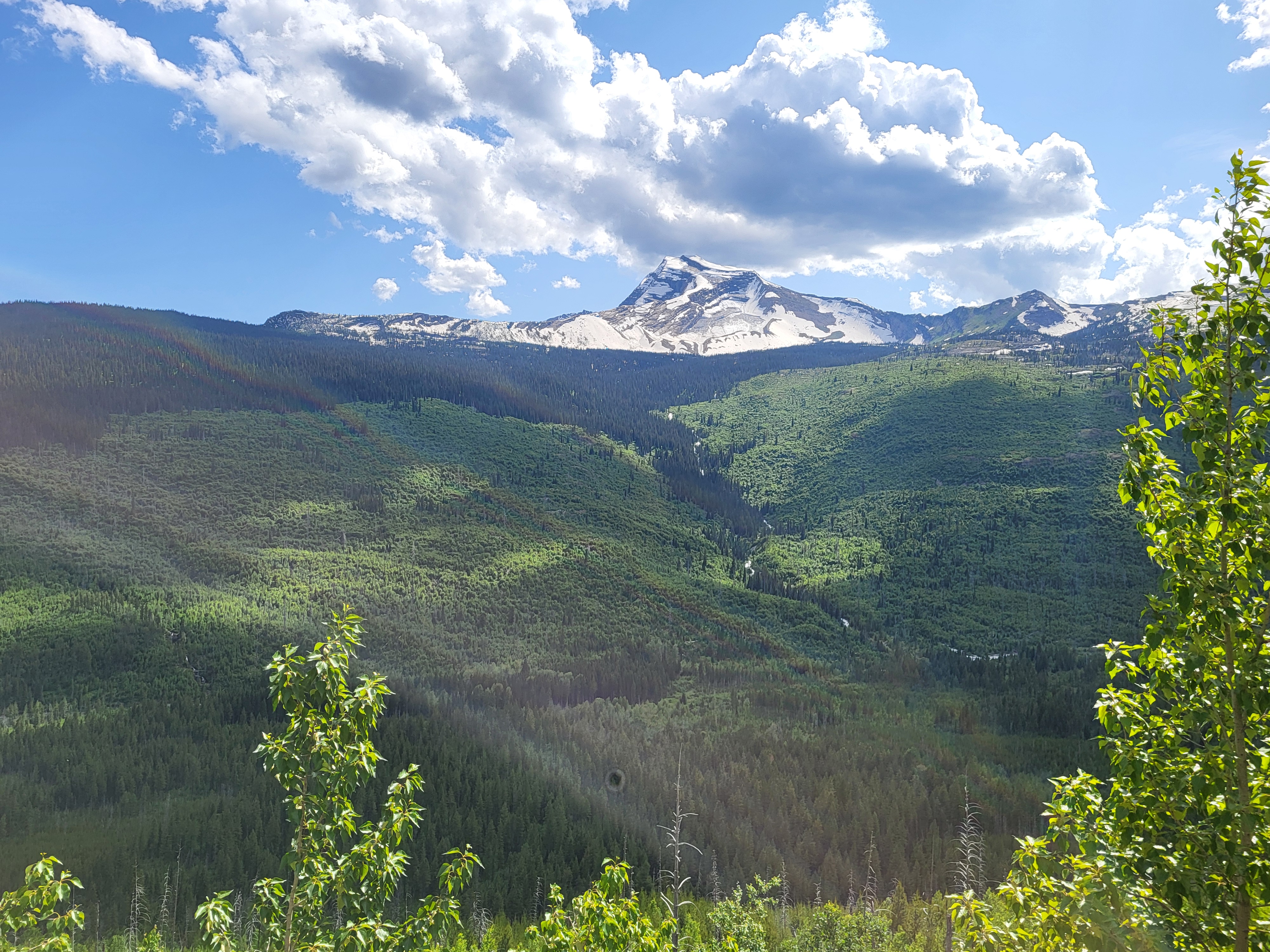 20250618_163926.jpg