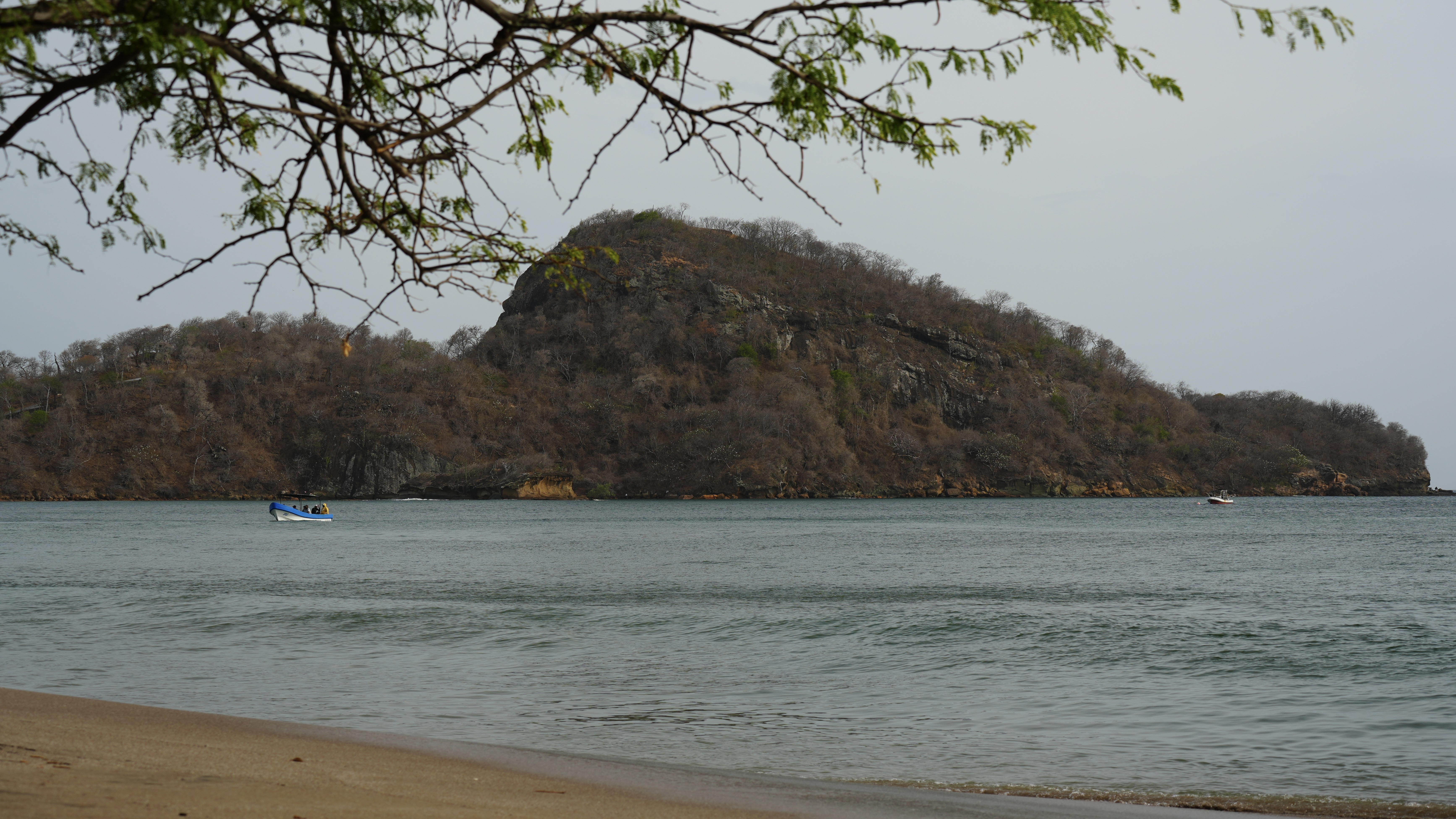 CYR09315.JPG
