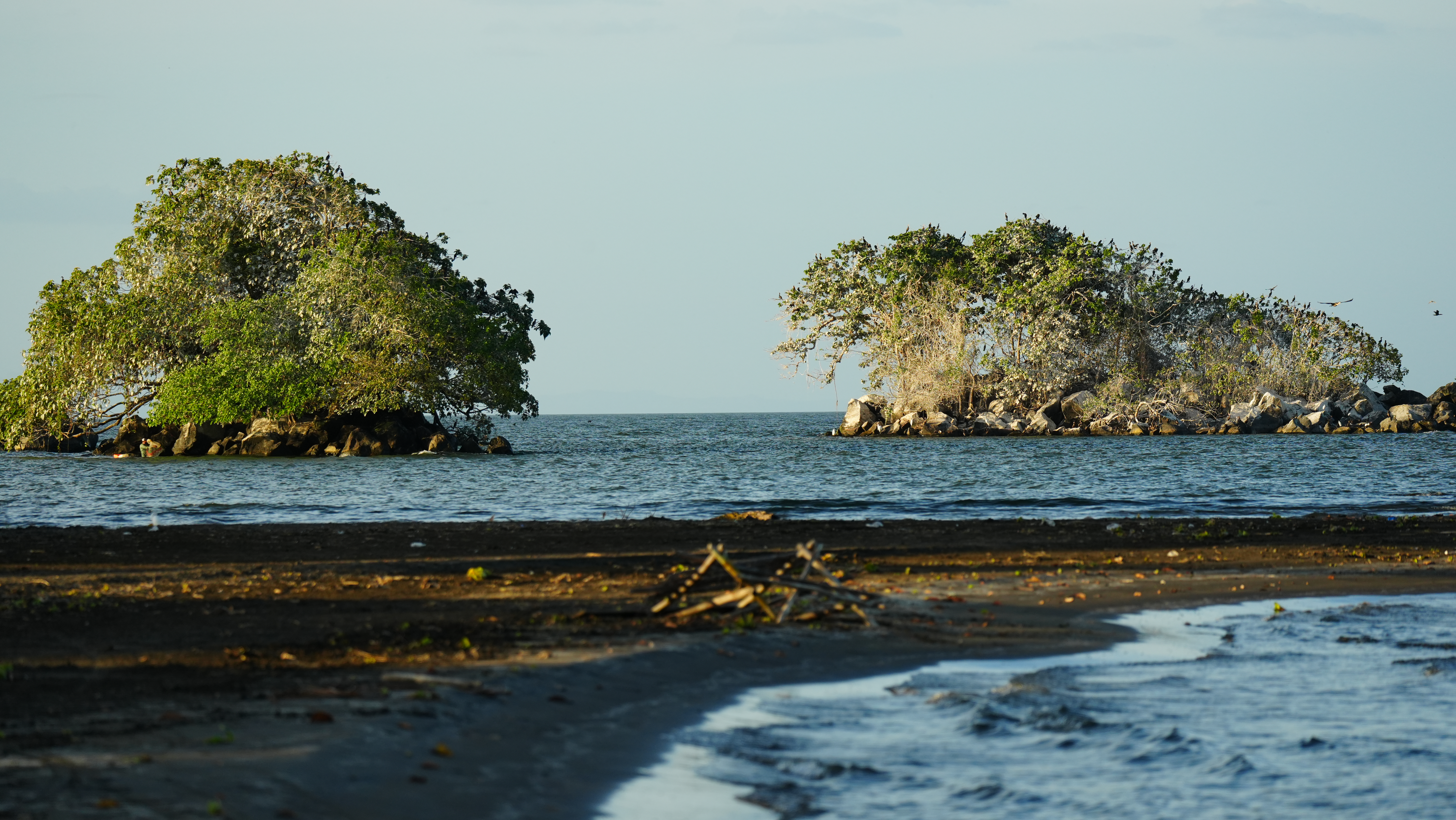 CYR09910.JPG