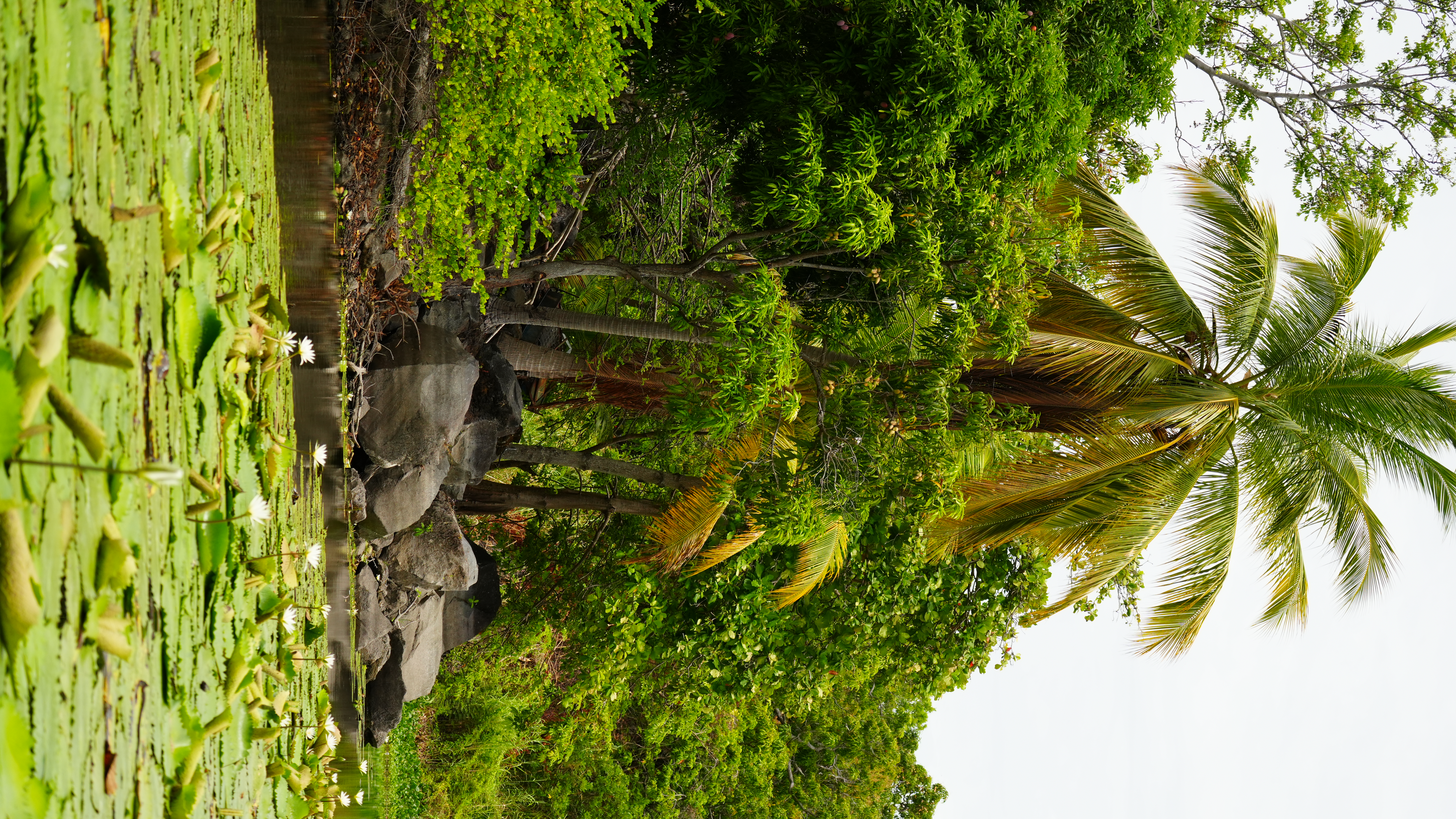 CYR01772.JPG