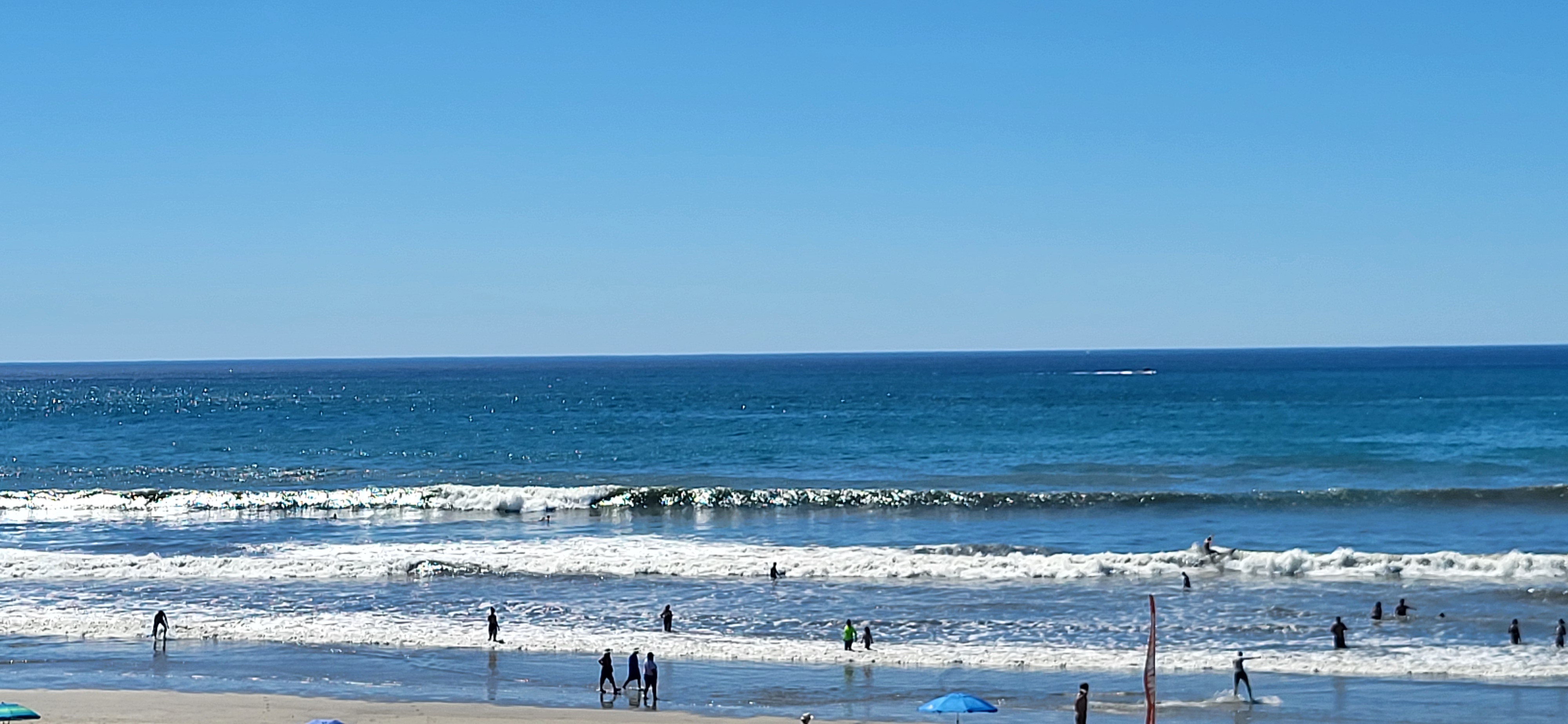 20261003_124020.jpg