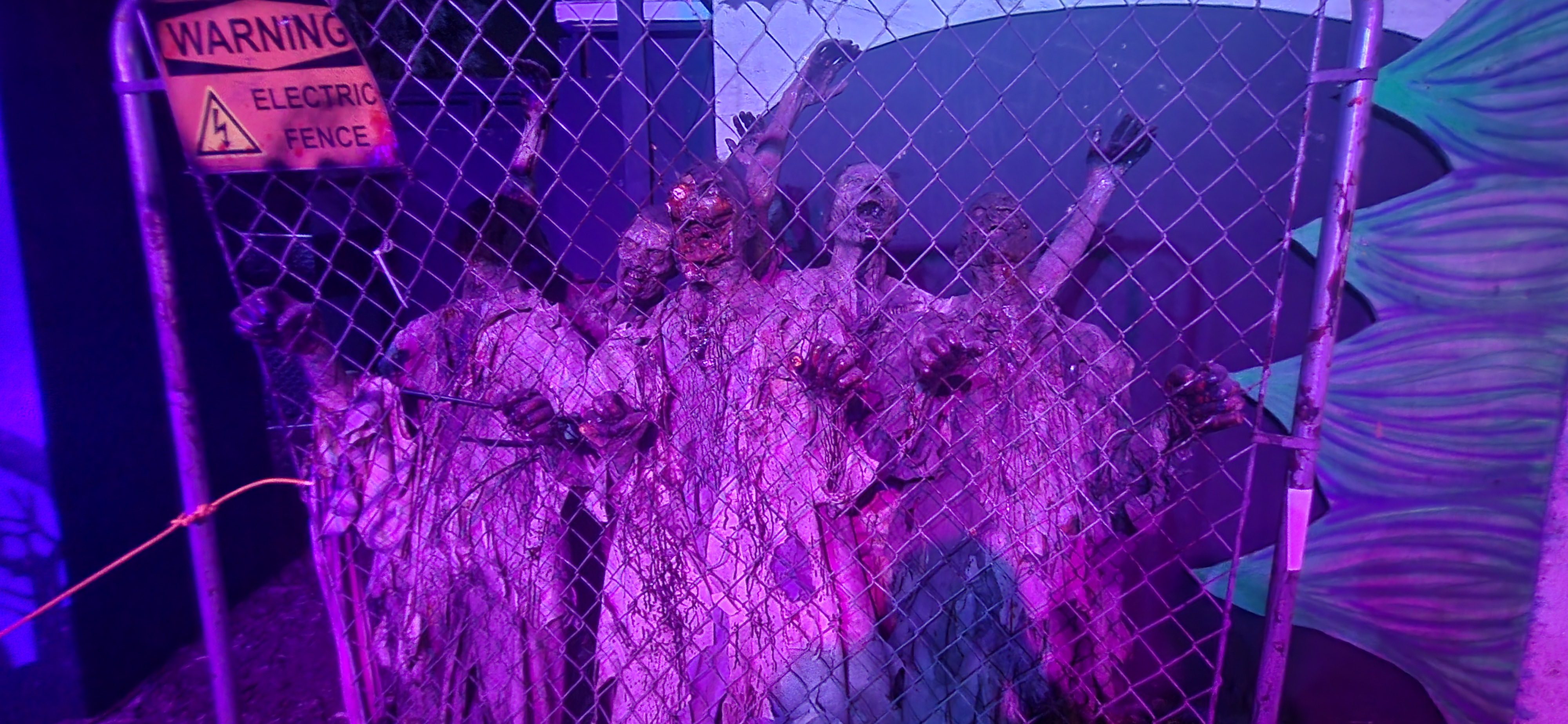 20261004_210921.jpg