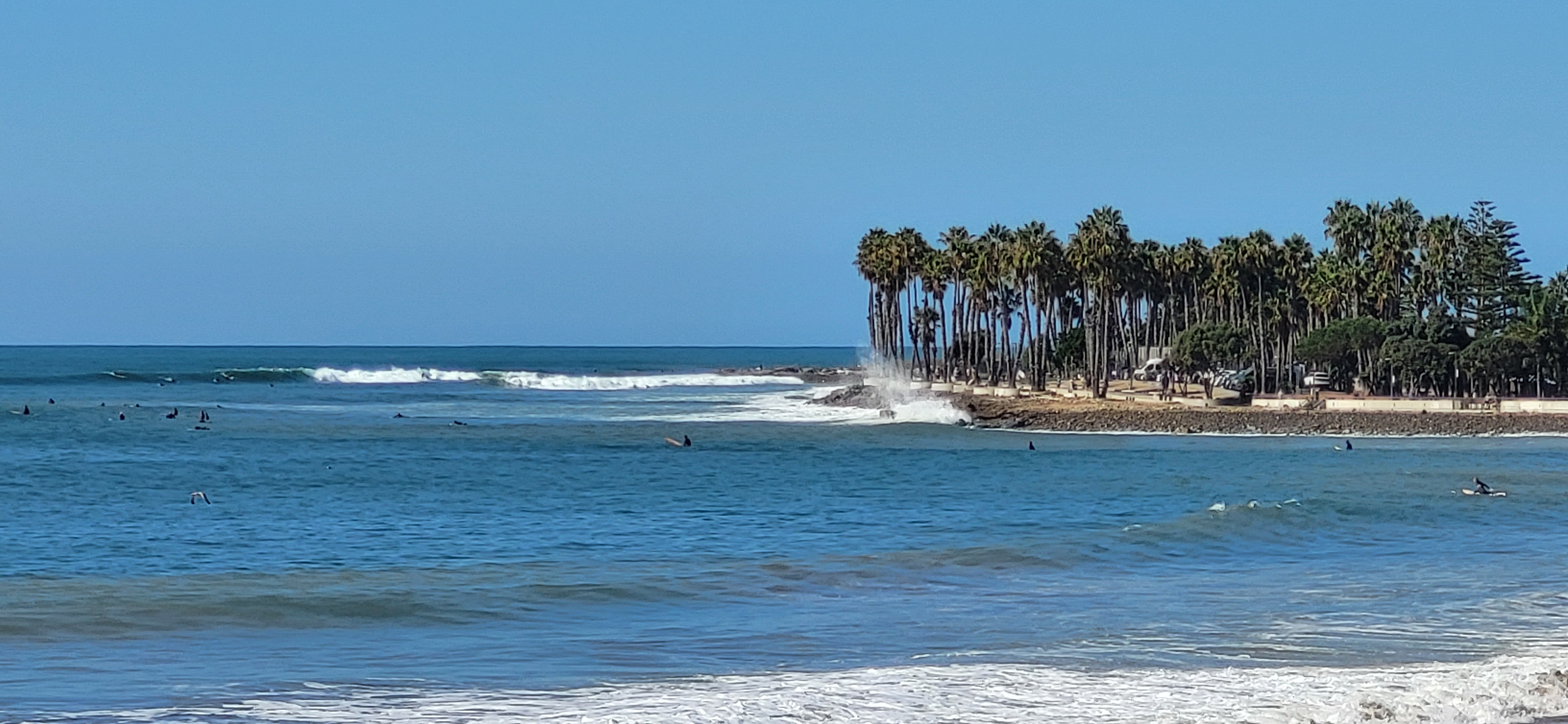 20261013_111709.jpg