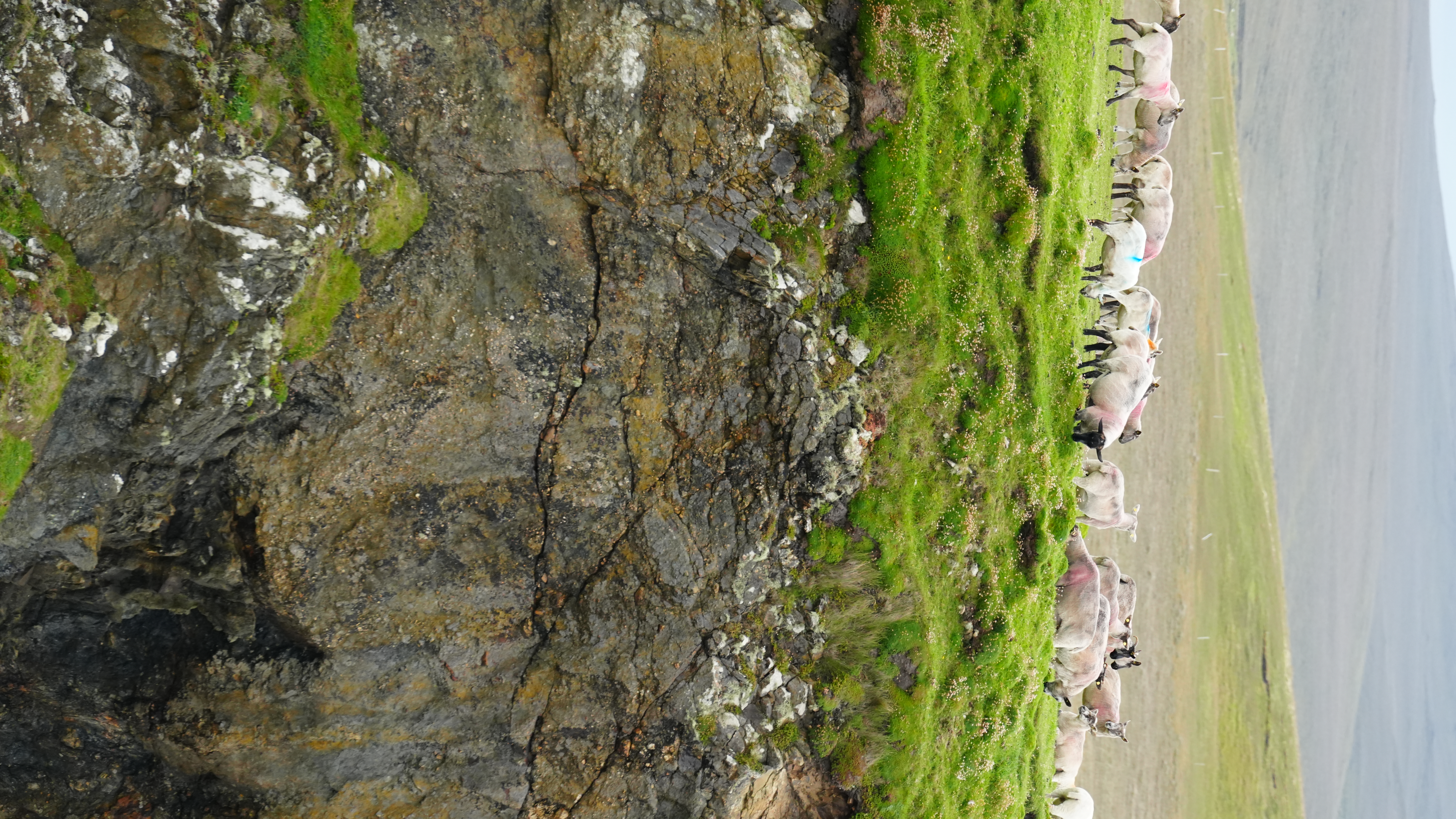 CYR02653.JPG