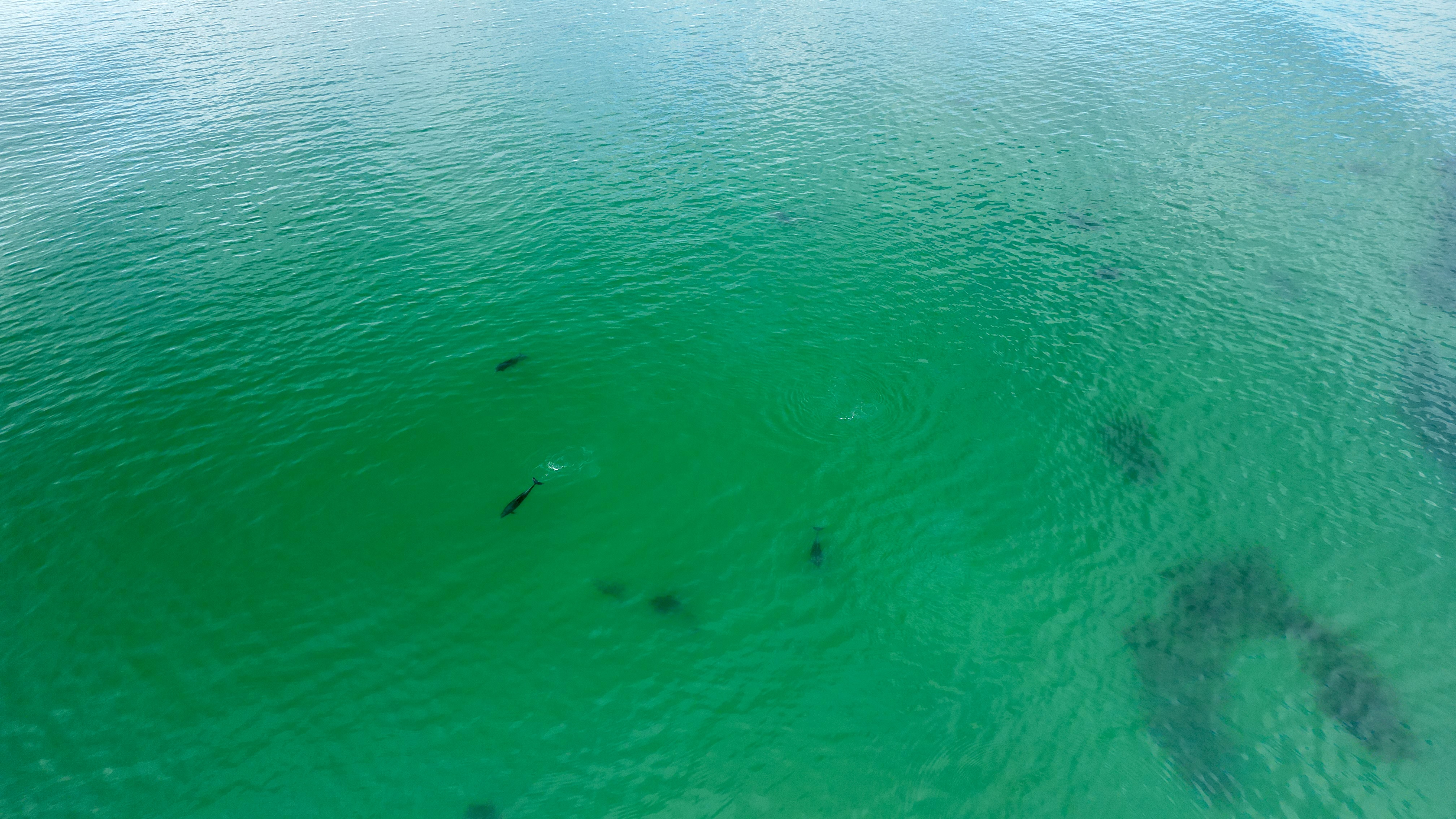 DJI_0426.JPG