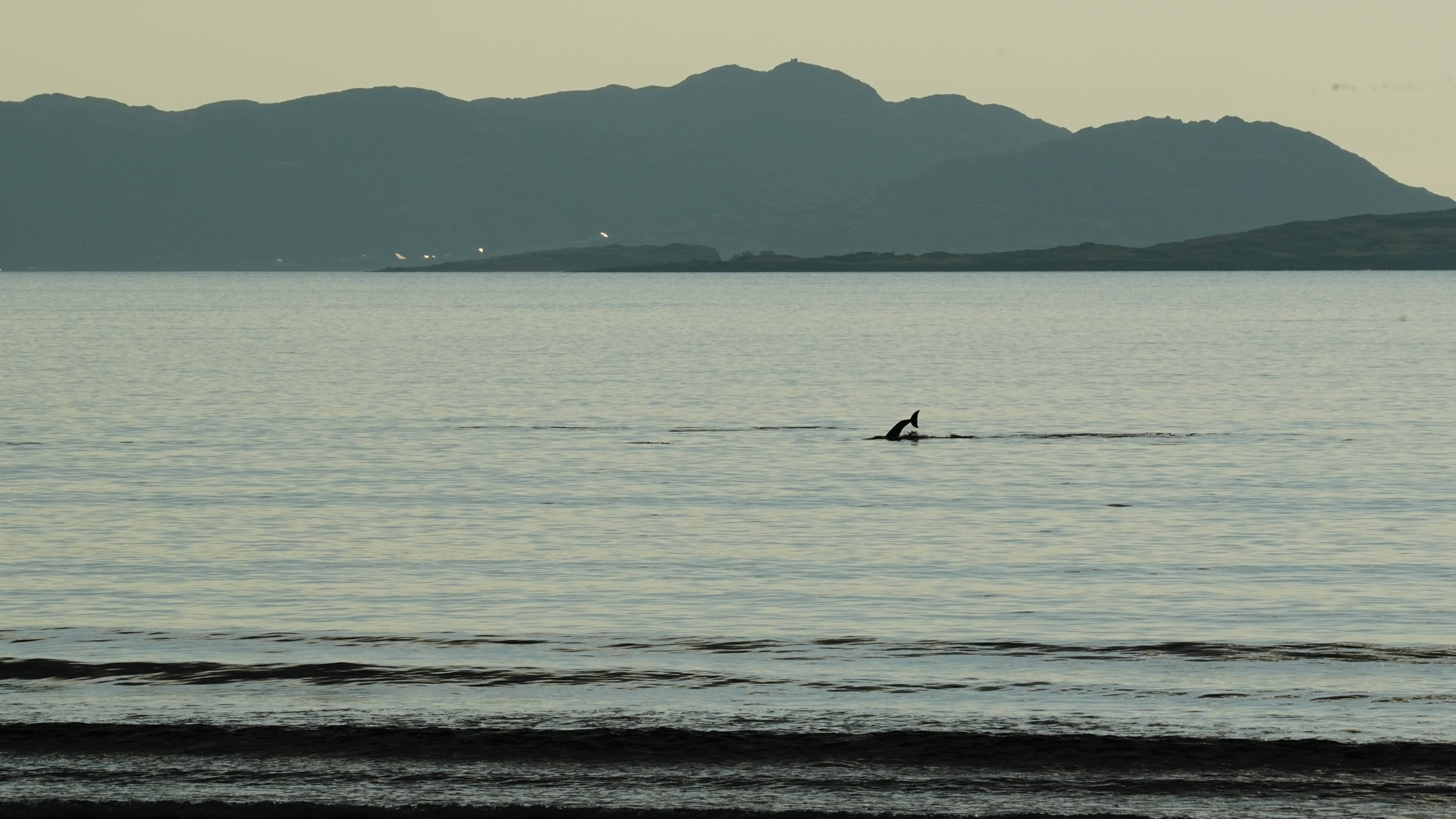 _DSC4878.JPG
