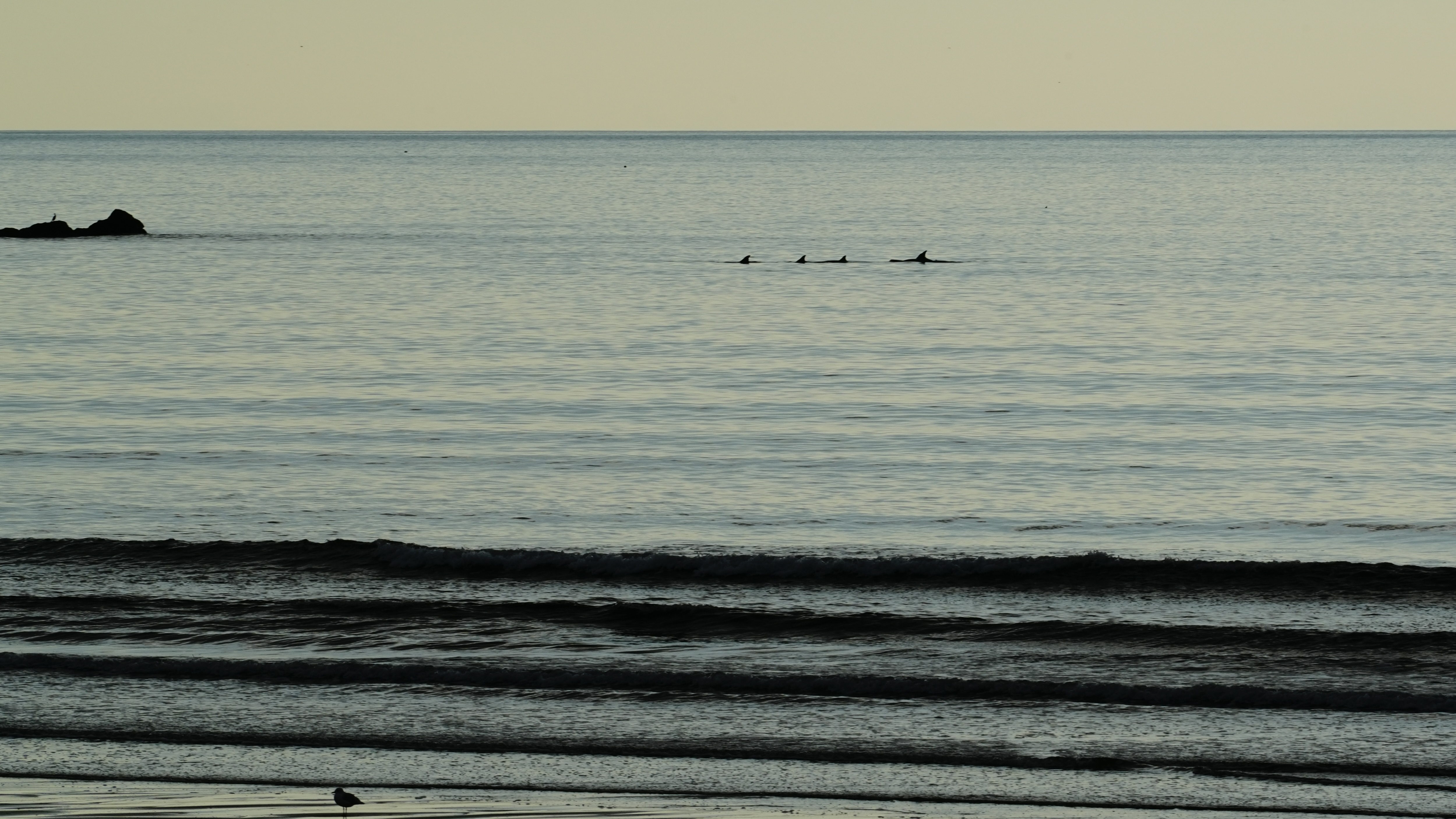 _DSC4859.JPG