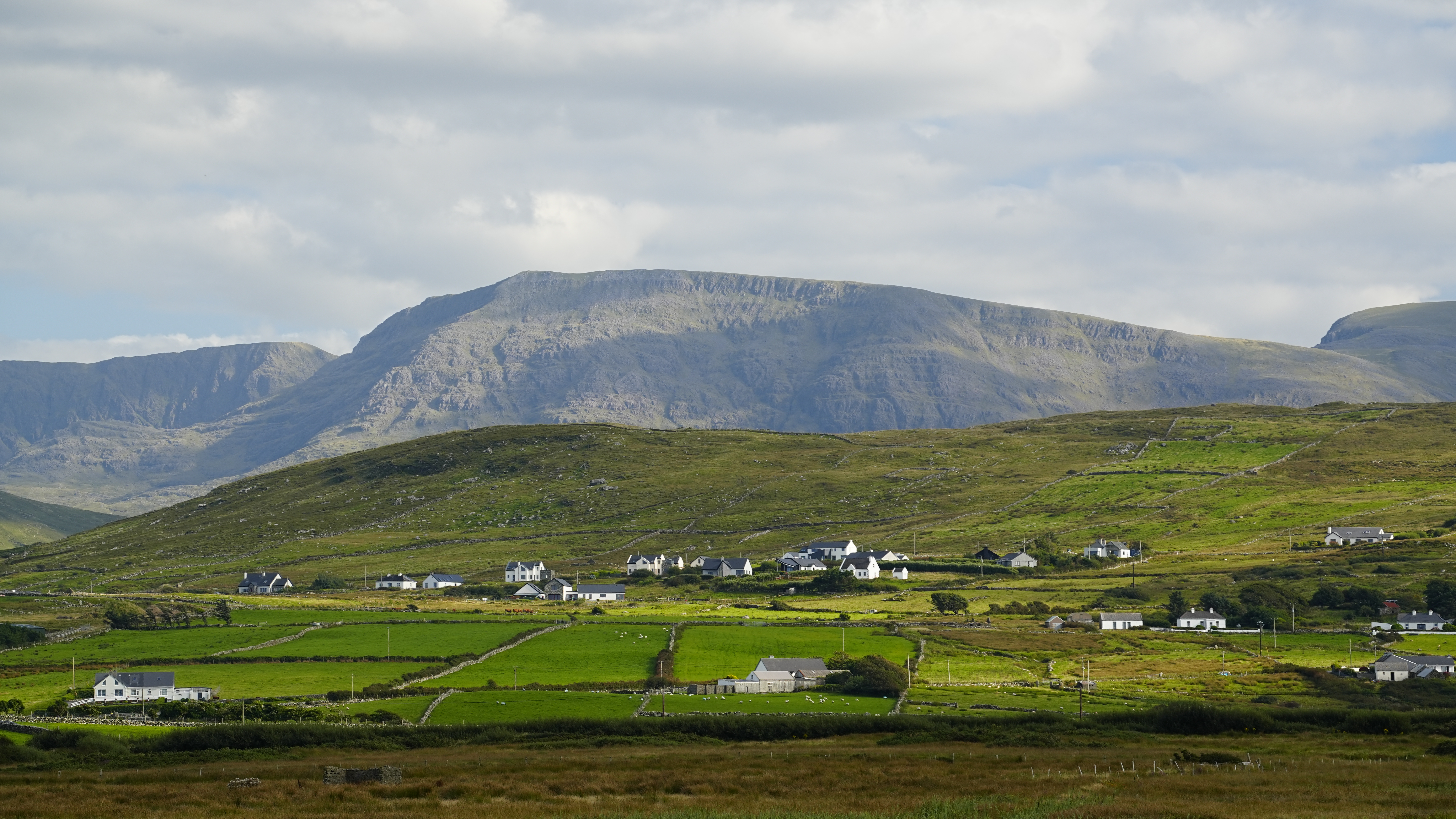 _DSC4835.JPG