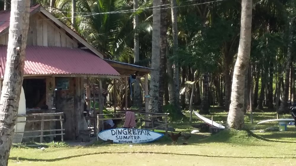 20180803_092012_opt.jpg