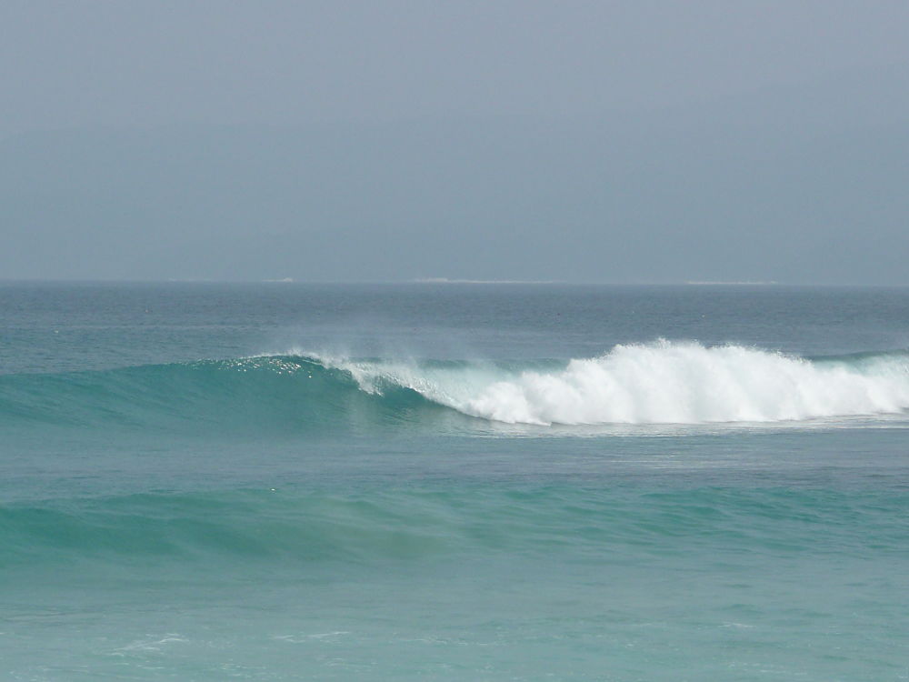 P1030609_opt.jpg P1030609_opt.jpg