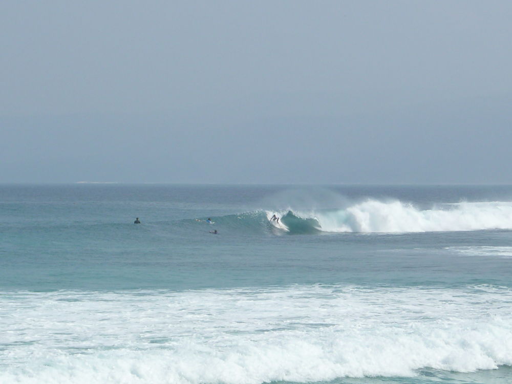 P1030611_opt.jpg P1030611_opt.jpg