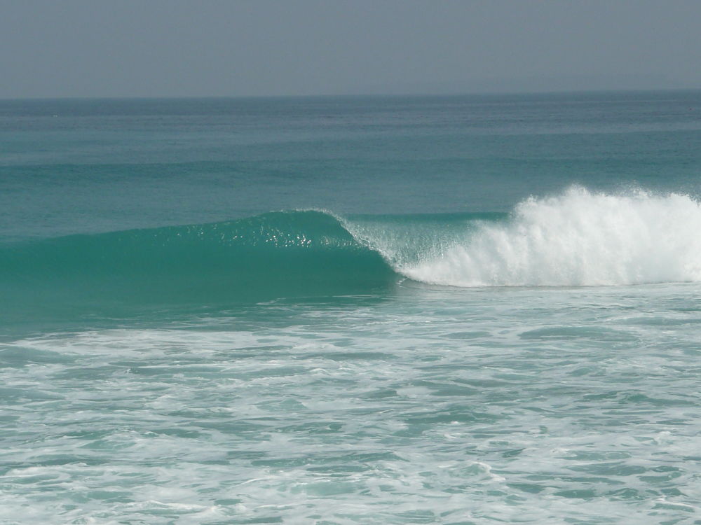 P1030613_opt.jpg P1030613_opt.jpg