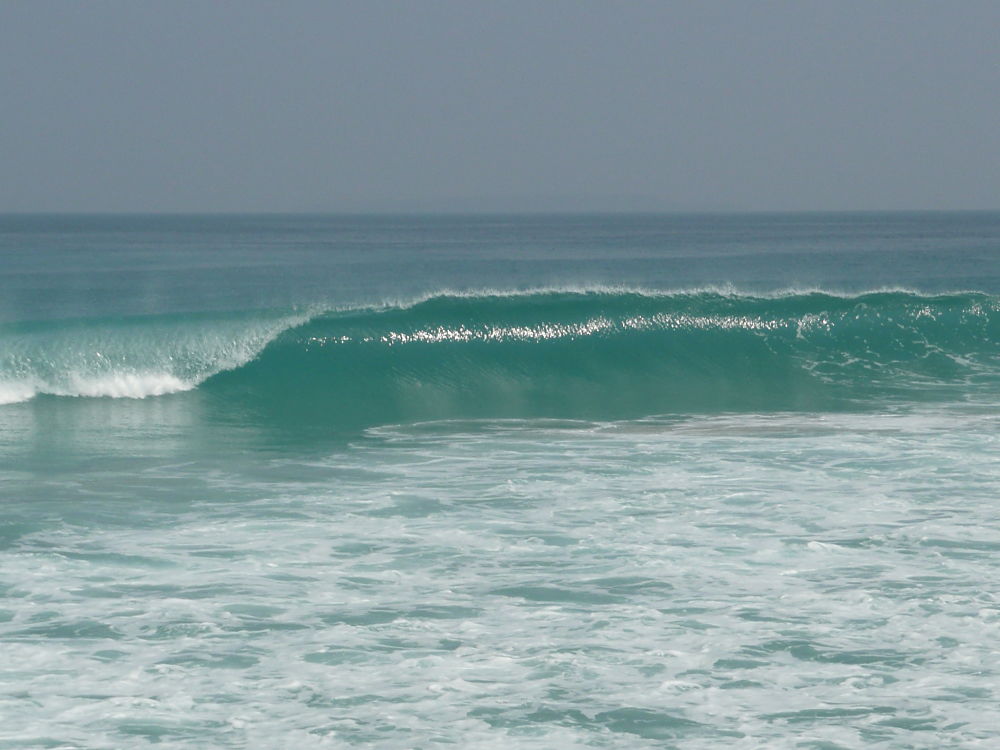 P1030614_opt.jpg