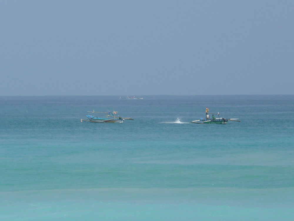 P1030615_opt.jpg P1030615_opt.jpg