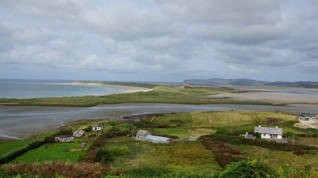 DSC06942.jpg DSC06942.jpg