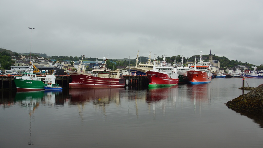 DSC06828.jpg DSC06828.jpg