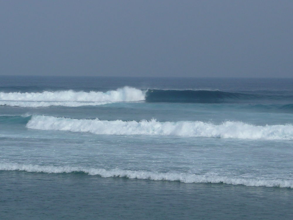 P1030628_opt.jpg