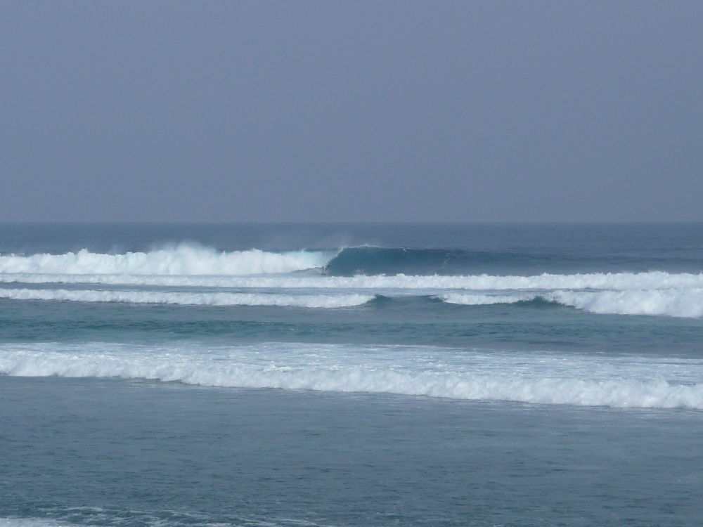 P1030629_opt.jpg
