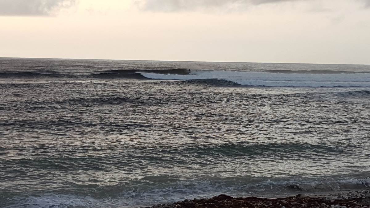 20180827_192116.jpg