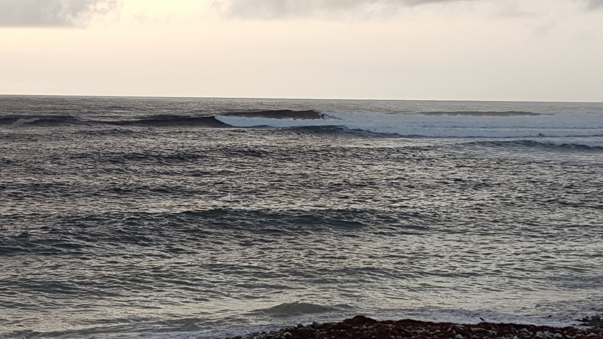 20180827_192113.jpg
