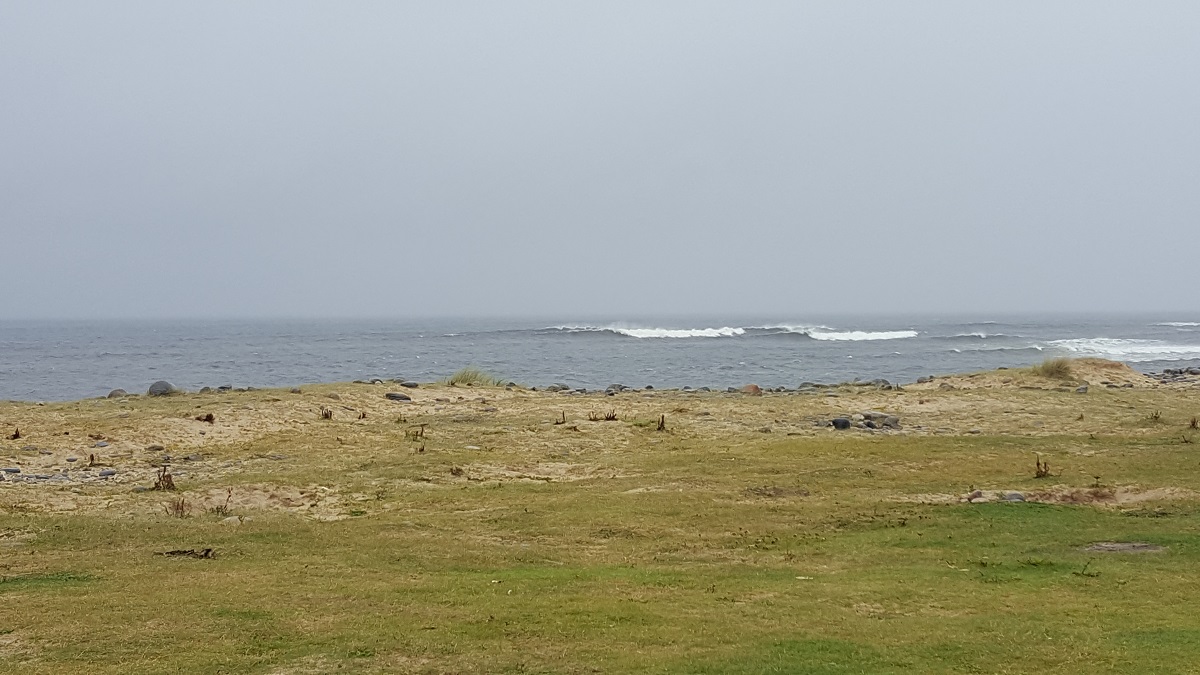 20180828_092440.jpg