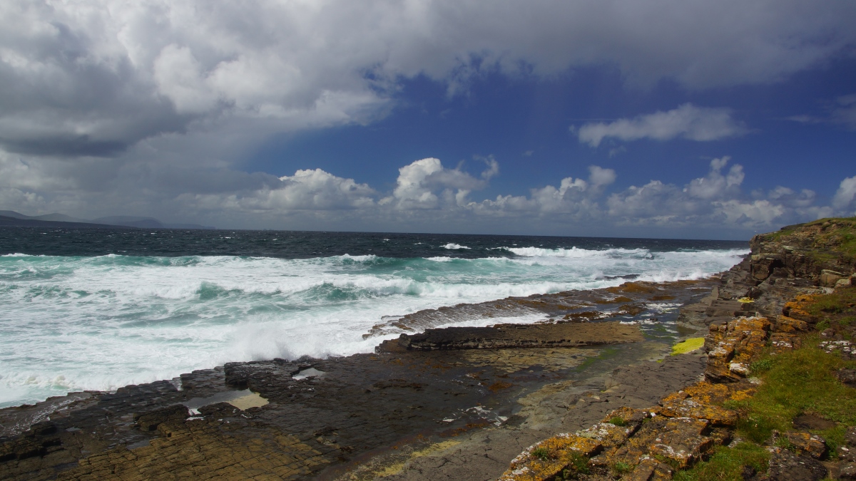 DSC04855.JPG