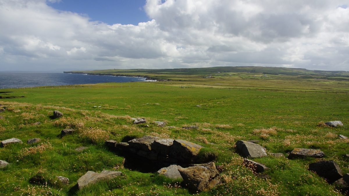 DSC04888.JPG