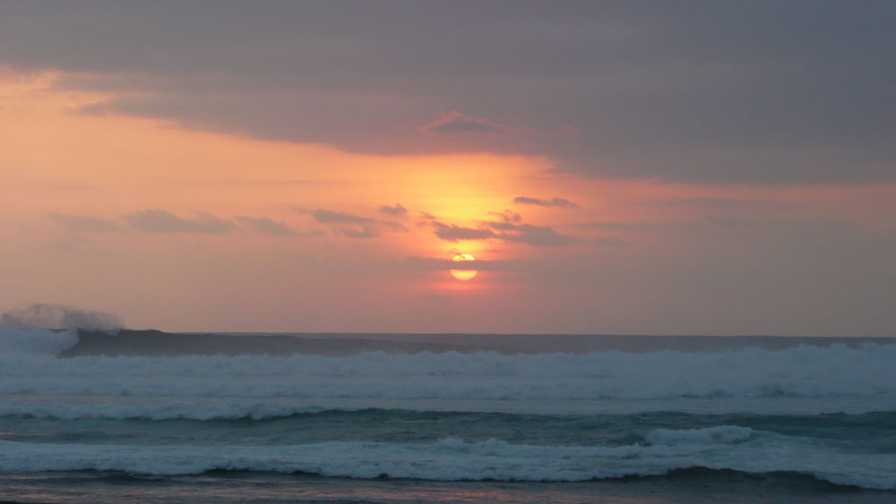 P1030597_opt.jpg